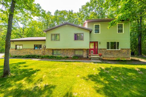 4756 Sherwood Dr, Indian River, MI 49749