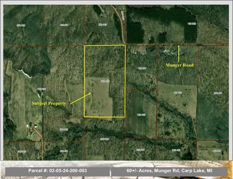 60 Acre Munger Carp Lake Mi 49718, Carp Lake, MI 49718
