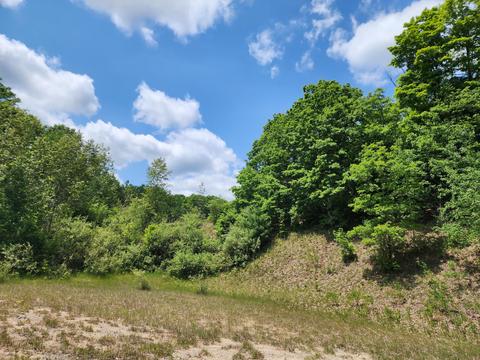 Winding Trail, Fairview, MI 48621 photo 33