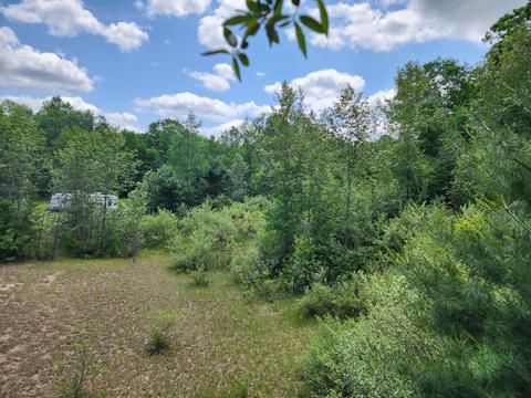 Winding Trail, Fairview, MI 48621 photo 34