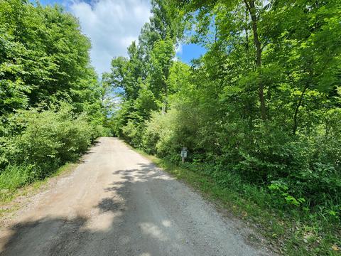 Winding Trail, Fairview, MI 48621 photo 8