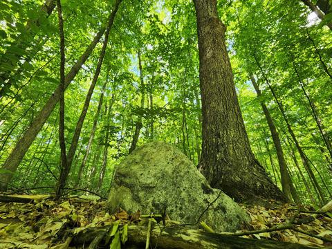 Winding Trail, Fairview, MI 48621 photo 21