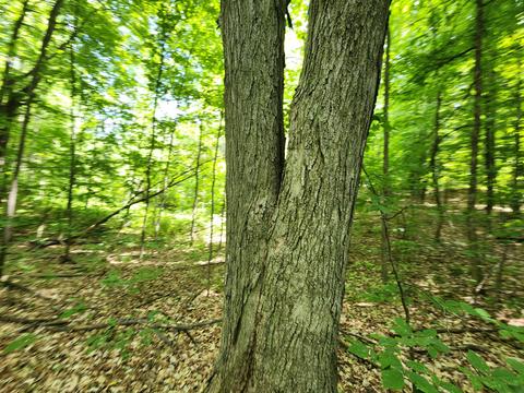 Winding Trail, Fairview, MI 48621 photo 42