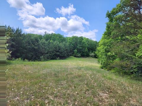 Winding Trail, Fairview, MI 48621 photo 35