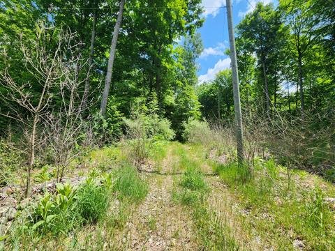 Winding Trail, Fairview, MI 48621 photo 9