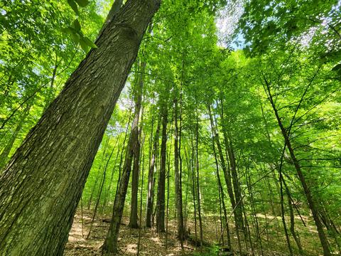 Winding Trail, Fairview, MI 48621 photo 40
