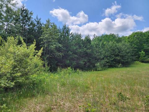 Winding Trail, Fairview, MI 48621 photo 36