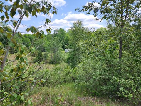 Winding Trail, Fairview, MI 48621 photo 38