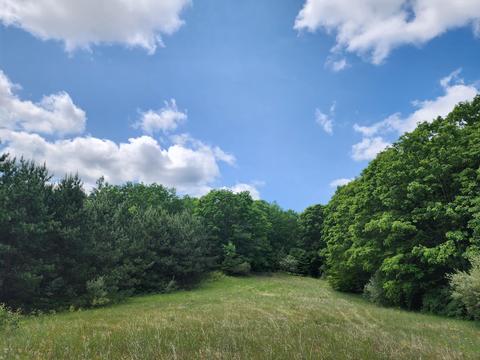 Winding Trail, Fairview, MI 48621 photo 37