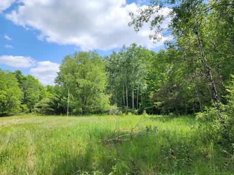 Winding Trail, Fairview, MI 48621 photo 31