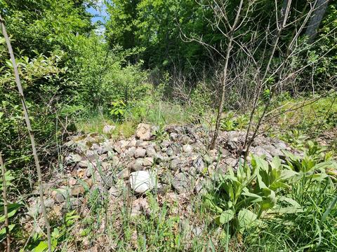 Winding Trail, Fairview, MI 48621 photo 10