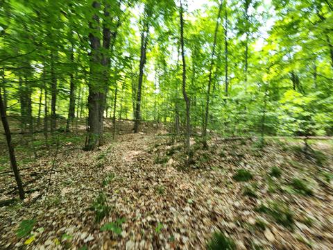 Winding Trail, Fairview, MI 48621 photo 46