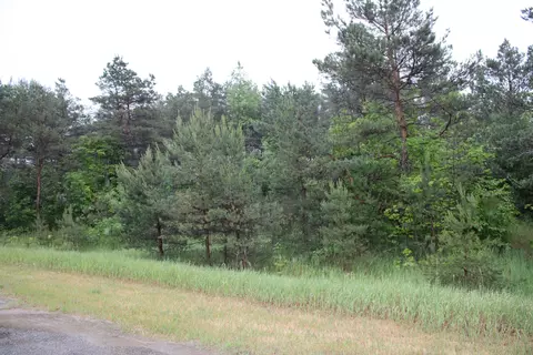 1550 Troyer Rd, Fairview, MI 48621
