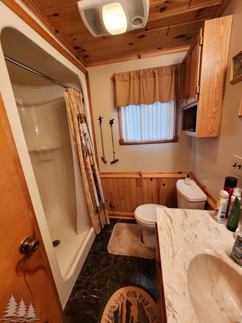 87 Townline Rd, Mio, MI 48647 photo 12