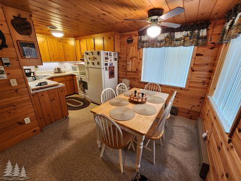 87 Townline Rd, Mio, MI 48647 photo 7