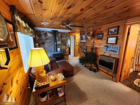 87 Townline Rd, Mio, MI 48647 photo 10