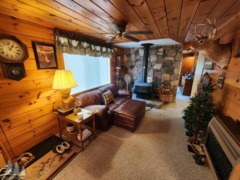 87 Townline Rd, Mio, MI 48647 photo 9