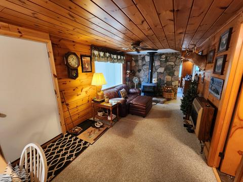 87 Townline Rd, Mio, MI 48647 photo 6