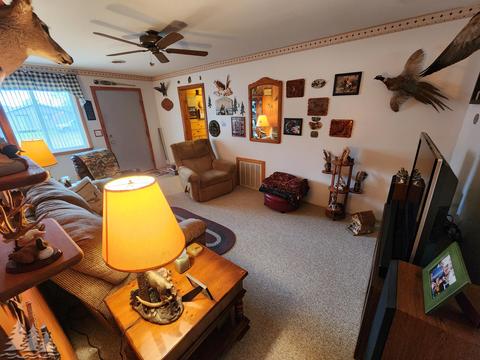 87 Townline Rd, Mio, MI 48647 photo 14