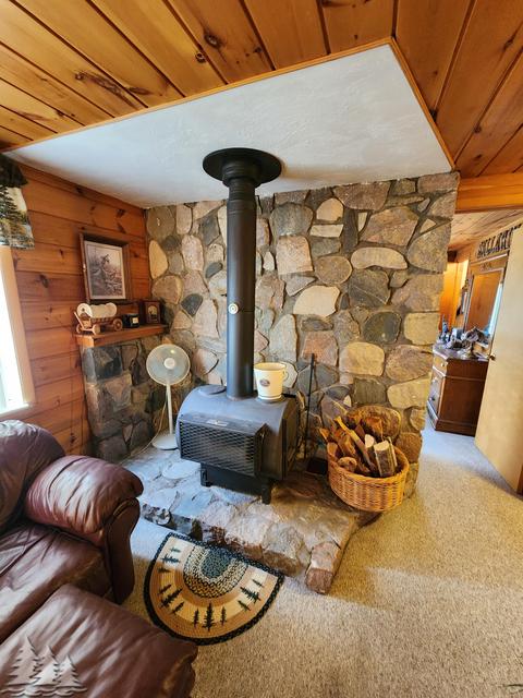 87 Townline Rd, Mio, MI 48647 photo 11