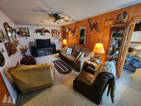 87 Townline Rd, Mio, MI 48647 photo 13