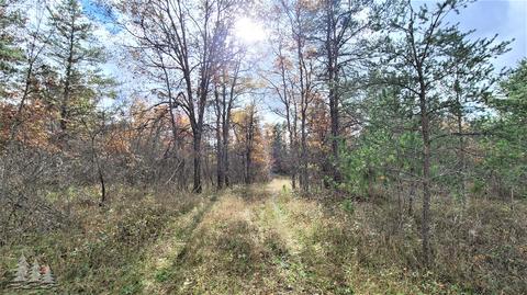 Parcel 9 Granholm Road, Lewiston, MI 49756