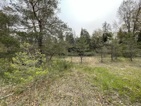 Ryan Road, Atlanta, MI 49709