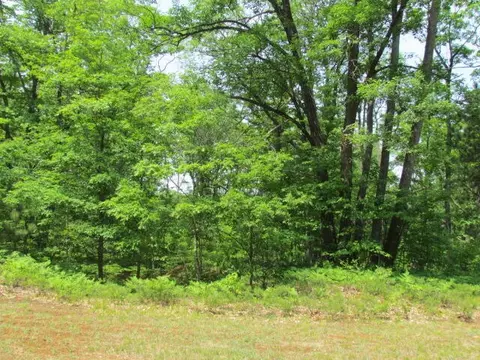 Allard Acres Trail, Lewiston, MI 49756
