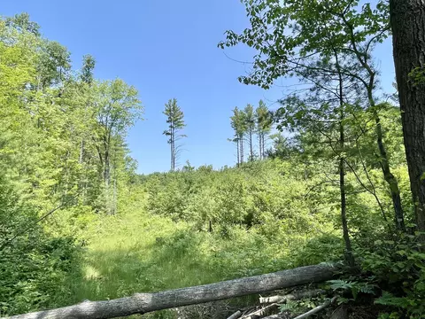 11 2 Acres Aarons Road Parcel Apt 3 Lewiston Mi 49756 Rd #PARCEL 3, Lewiston, MI 49756