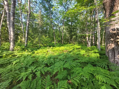 Pawnee Trail, Rogers City, MI 49779