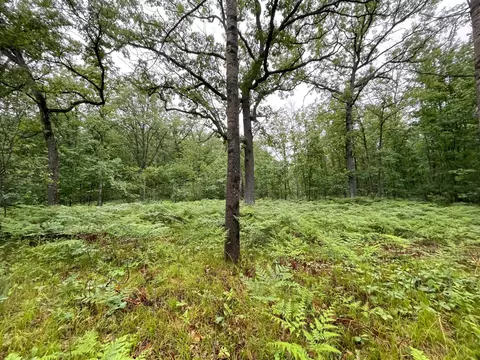 339 Starlight Road Roscommon Mi 48653 Rd, Roscommon, MI 48653