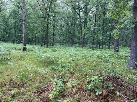 339 Starlight Road Roscommon Mi 48653 Rd, Roscommon, MI 48653 photo 3