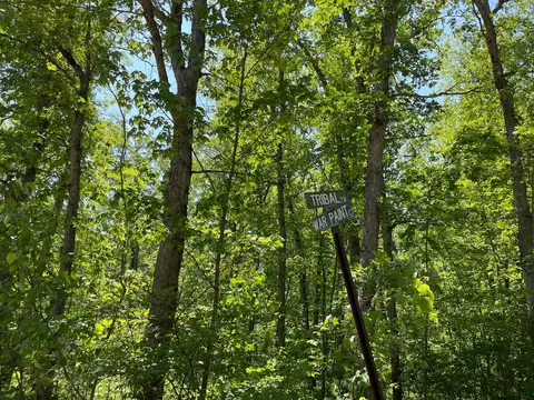 339 Starlight Road Roscommon Mi 48653 Rd, Roscommon, MI 48653 photo 7