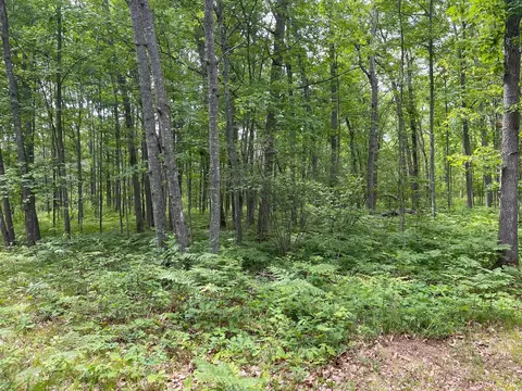 339 Starlight Road Roscommon Mi 48653 Rd, Roscommon, MI 48653 photo 4