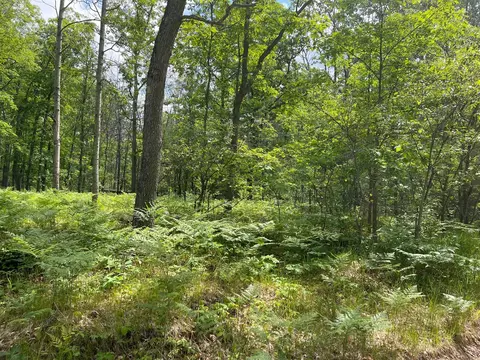 339 Starlight Road Roscommon Mi 48653 Rd, Roscommon, MI 48653 photo 5