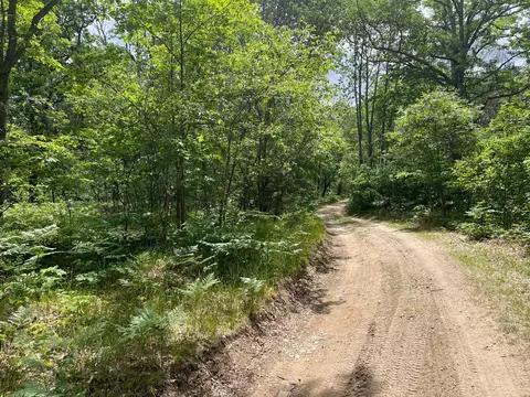 339 Starlight Road Roscommon Mi 48653 Rd, Roscommon, MI 48653 photo 6