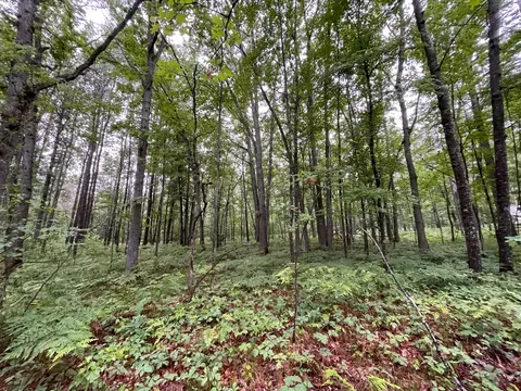 340 Starlight Road Roscommon Mi 48653 Rd, Roscommon, MI 48653