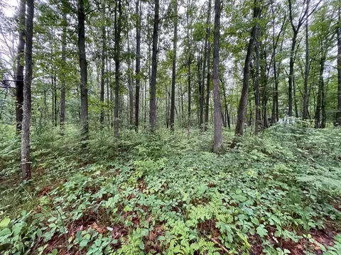 340 Starlight Road Roscommon Mi 48653 Rd, Roscommon, MI 48653 photo 3