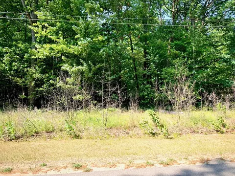 Heritage Way, Roscommon, MI 48653 photo 3
