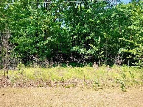 Heritage Way, Roscommon, MI 48653