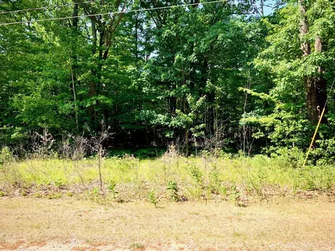 Heritage Way, Roscommon, MI 48653 photo 5