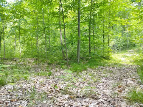 N Sunshine Trail, Vanderbilt, MI 49795 photo 13