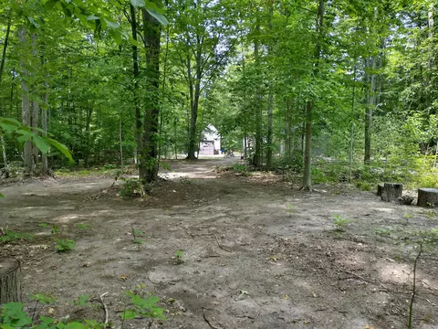N Sunshine Trail, Vanderbilt, MI 49795 photo 31