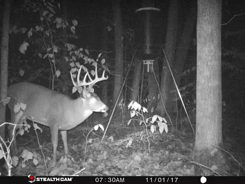 N Sunshine Trail, Vanderbilt, MI 49795 photo 10