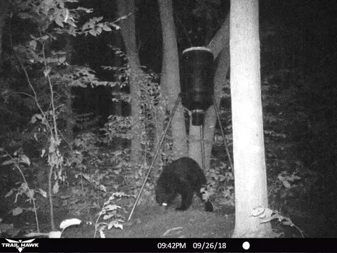 N Sunshine Trail, Vanderbilt, MI 49795 photo 12