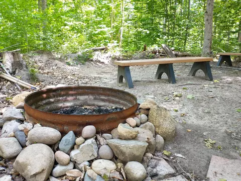 N Sunshine Trail, Vanderbilt, MI 49795 photo 5