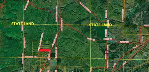 N Sunshine Trail, Vanderbilt, MI 49795 photo 4