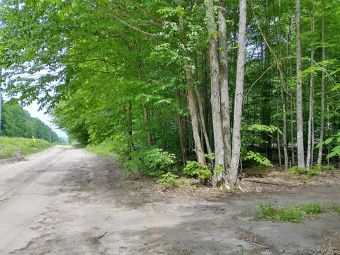 N Sunshine Trail, Vanderbilt, MI 49795 photo 18