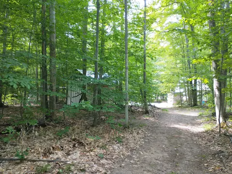 N Sunshine Trail, Vanderbilt, MI 49795 photo 32