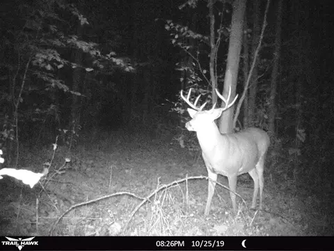 N Sunshine Trail, Vanderbilt, MI 49795 photo 11